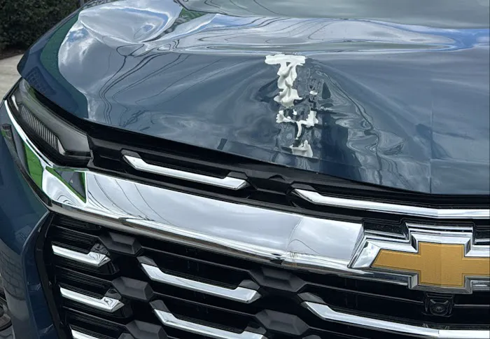 All Pro Auto Body 8