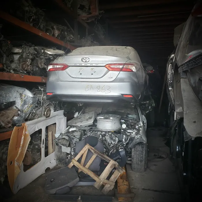 mustang auto parts 5