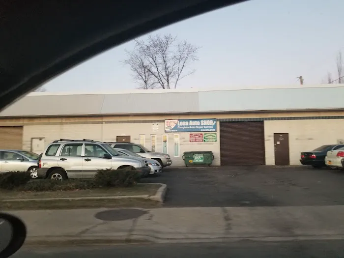 Lena Auto Shop 0
