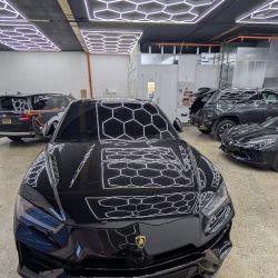 Executive Collision ico