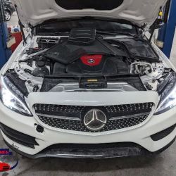 Tolima's Auto Center ico