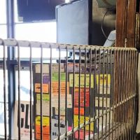 Dewland Auto & Services