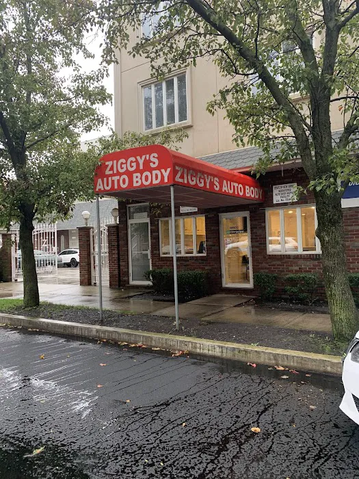 Ziggy Auto Body 5