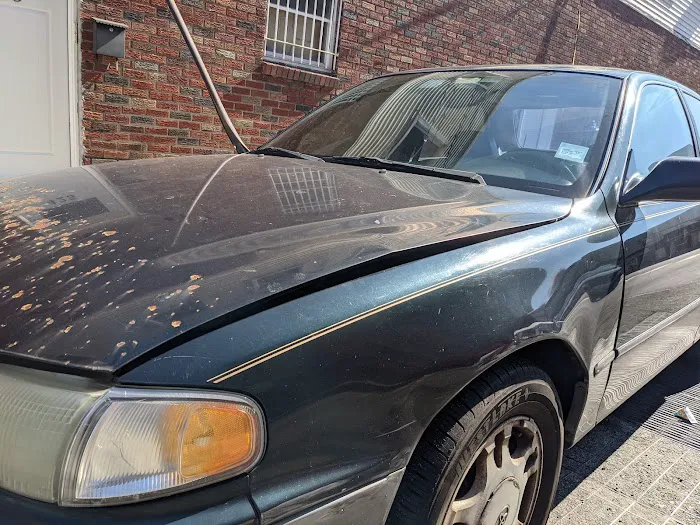Ziggy Auto Body 7