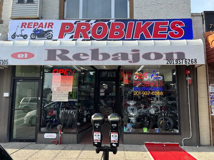 PRO BIKES El Rebajon 8