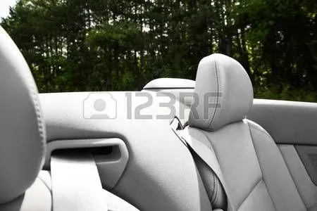 Ewe Auto Seat Cover Co 6