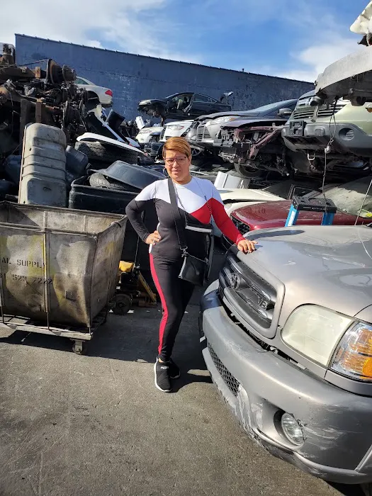 Alex Auto Parts 2
