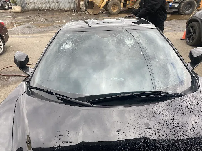 WALLABEE AUTO GLASS 4