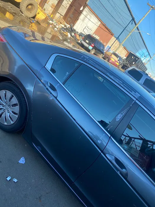WALLABEE AUTO GLASS 8