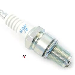 Claremont Auto Parts ico