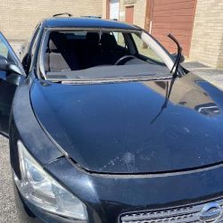 ENC Auto Glass ico