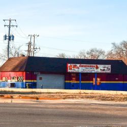 Chihuahua Tire Shop ico