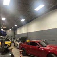 Untamed Auto
