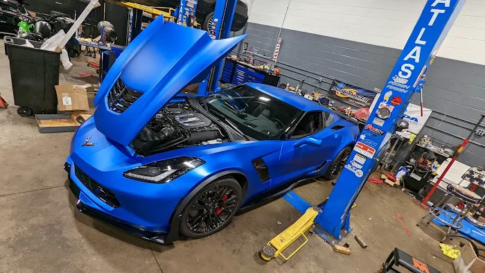 Untamed Auto 6