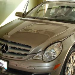 Advanced Auto Glass Inc ico