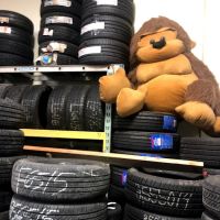 Monkey's Tire Shop