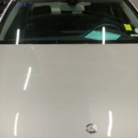 Elite Hail Systems