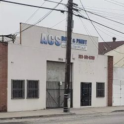ACS Body & Paint ico
