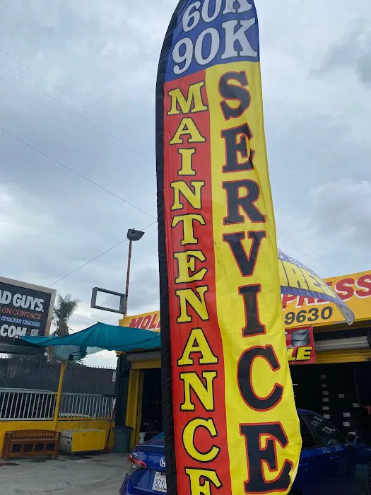 Molina Tire Express 1