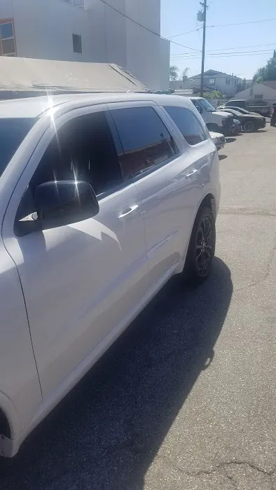 Paradise Tinting 6
