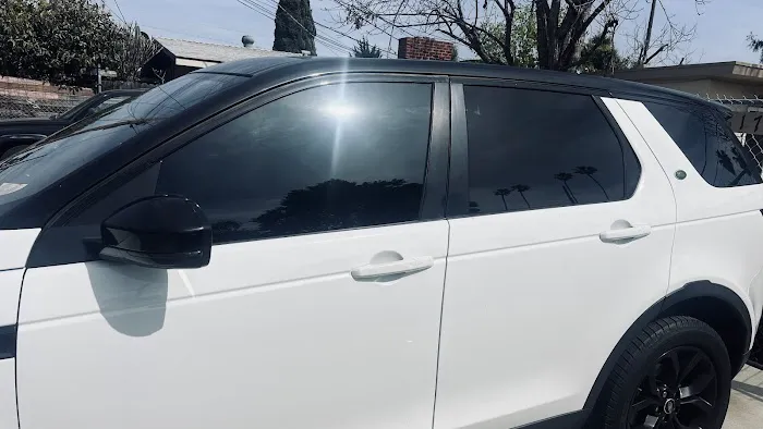 Paradise Tinting 5