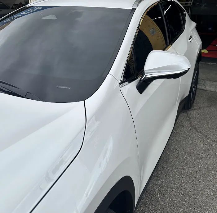 Ez tint 9