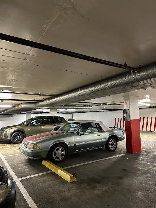 SVT Auto Repair Solutions 0