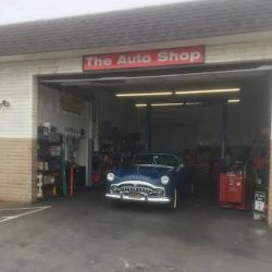 The Auto Shop ico