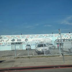 Chinos Auto Parts ico