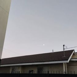Felix smog test only ico