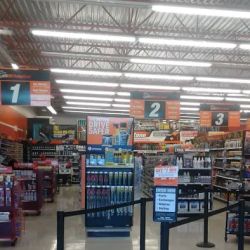 AutoZone Auto Parts ico