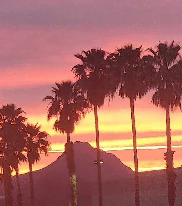 Arizona Palms Tinting 5