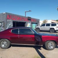 Arizona Palms Tinting