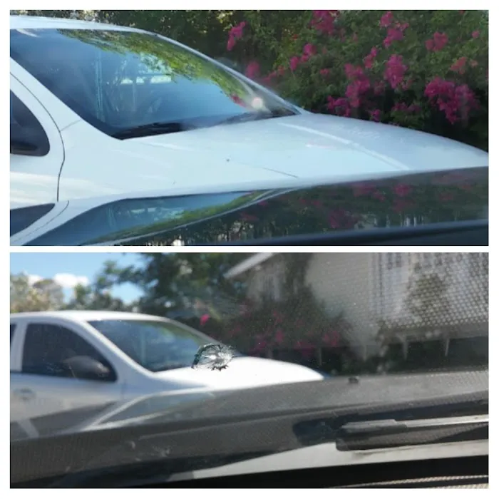 Auto Glass Distributors 1