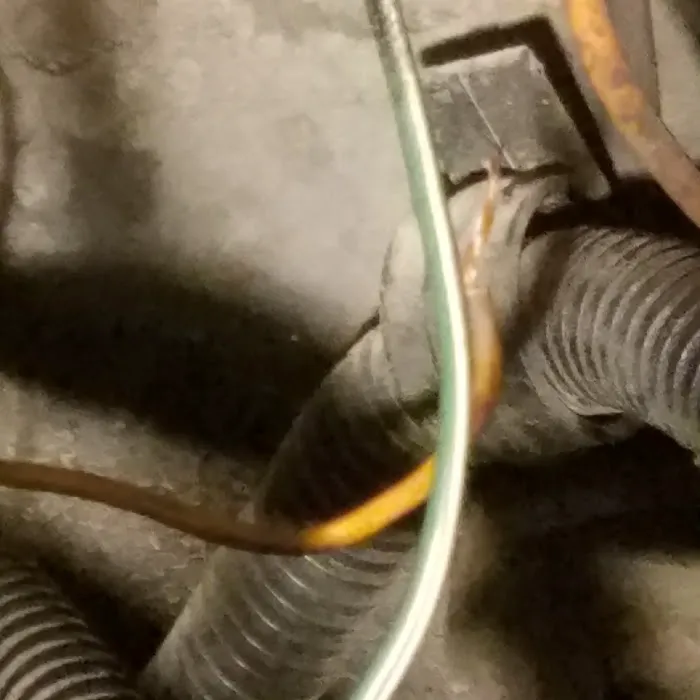 Cottman Transmission and Total Auto Care 6