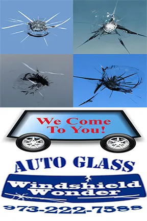 Windshield Wonder Auto Glass 6