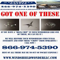 Windshield Wonder Auto Glass ico