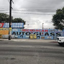 Michoacan Auto Glass and Parts ico