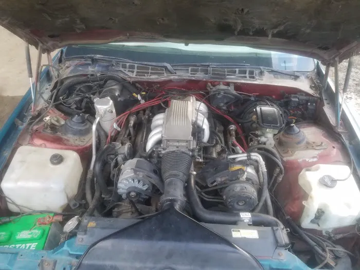 Born Again Body Works 2