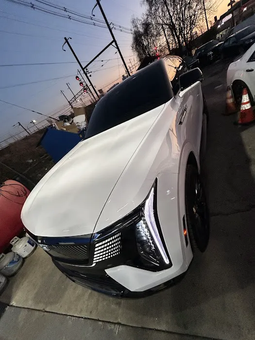 Wizard OZ Tint and Wrap 5