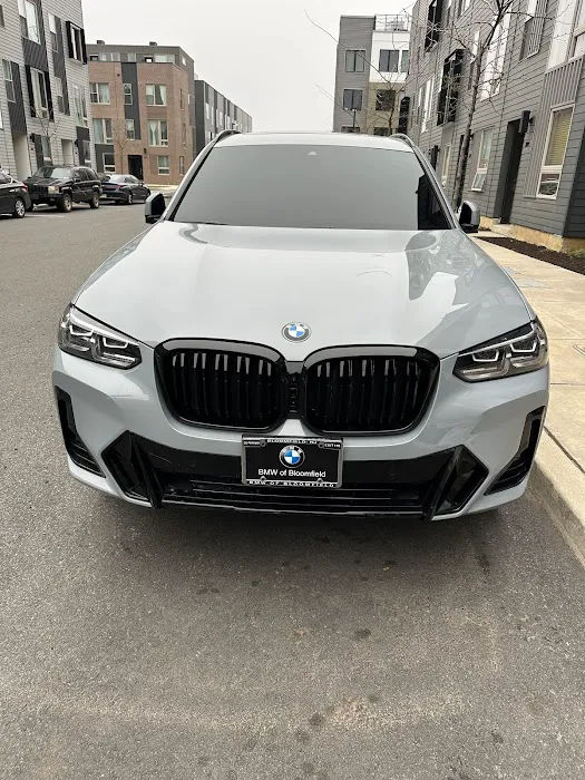 Wizard OZ Tint and Wrap 6