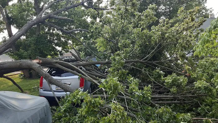 Executive Collision Center 4