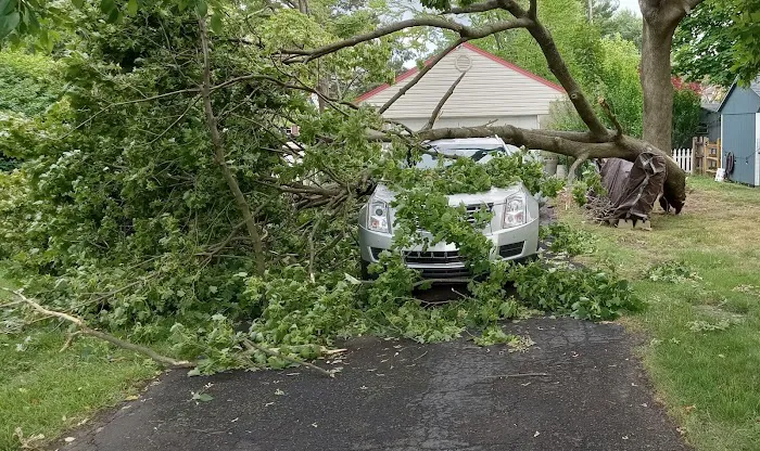 Executive Collision Center 6