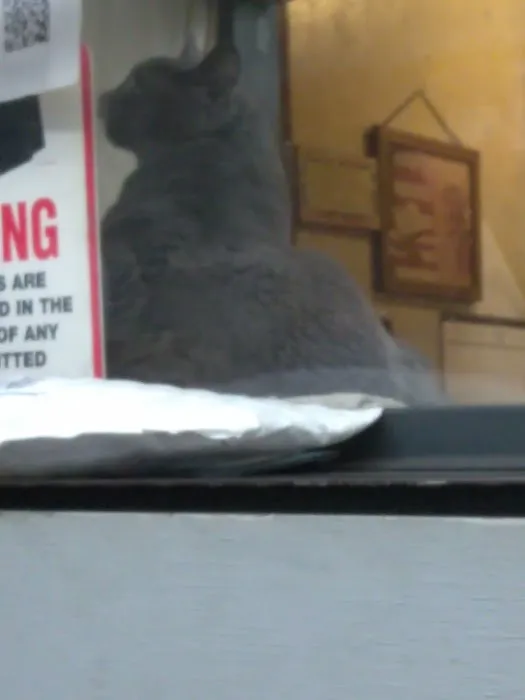 Steve's Automotive Repair 0