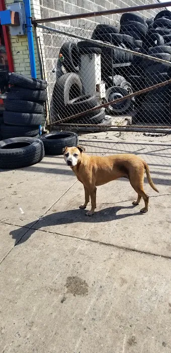 David's Tire And Auto Repair 5