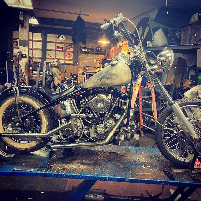 Lucky Cat Cycles 2