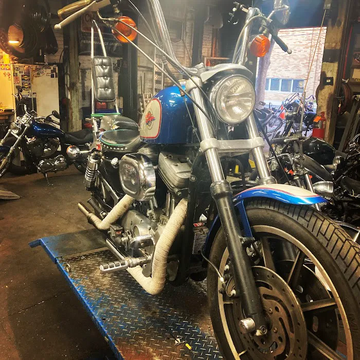Lucky Cat Cycles 3