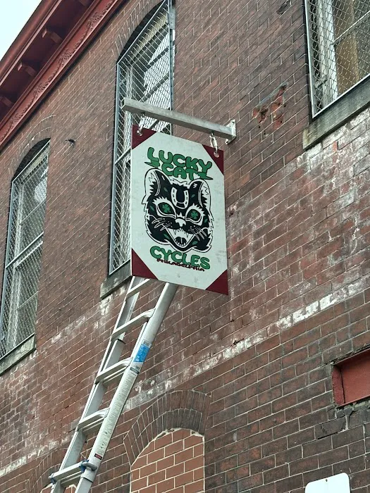 Lucky Cat Cycles 1