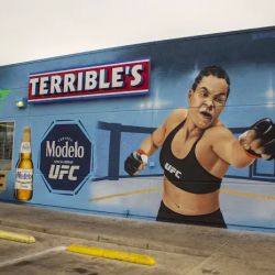 Terrible's ico