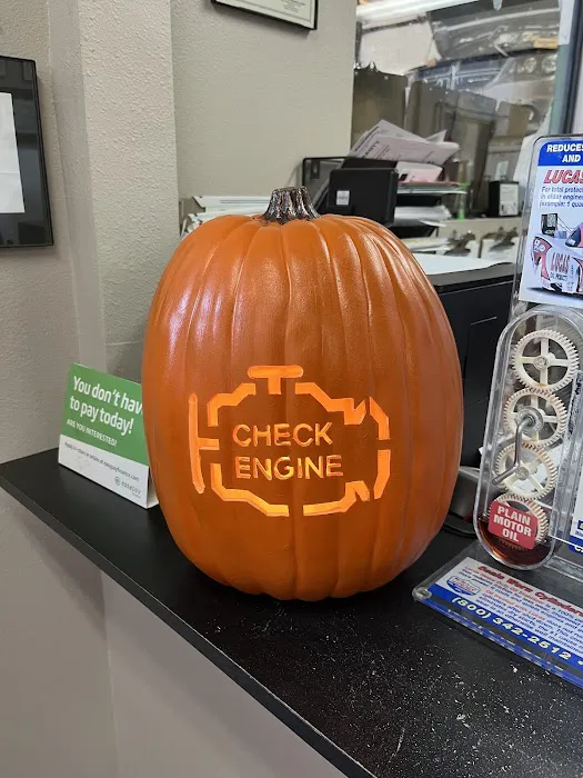 Purrfect Auto Service 4